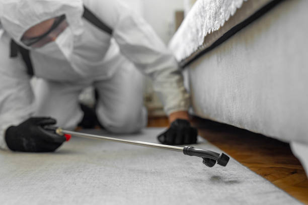 Professional Cockroach Control technician working in Baltimore Highlands, MD