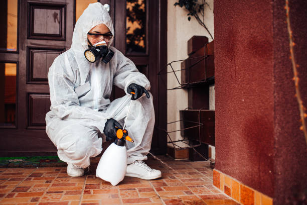 Reliable Cockroach Control contractor in Baltimore Highlands, MD by Nex Pest Control